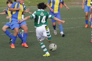 米兰官方网站-新星崛起：季后赛中的逆转奇迹！，新星崛起什么意思