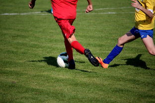 米兰体育·「中国」官方网站-中国足球俱乐部与国际知名足球学院合作，中国足球俱乐部和国家队