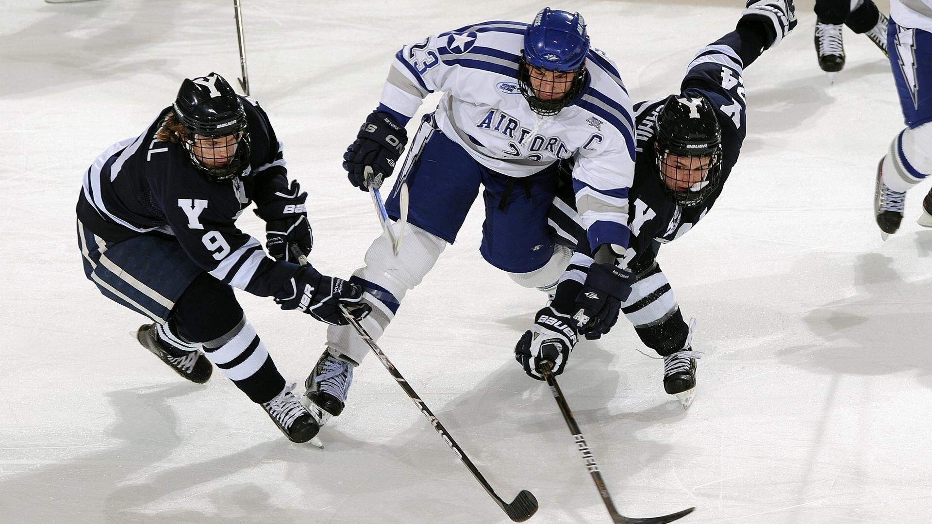 乌鸦的节奏太快了，进攻组打得行云流水，乌鸦攻击什么